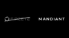 Mandiant and the Future of Cybersecurity Professional Services